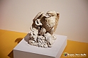 VBS_8795 - Mostra Invito a Pompei